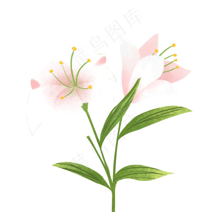 美丽花朵