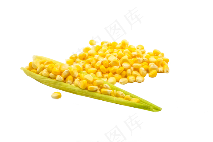烹饪常用食材玉米