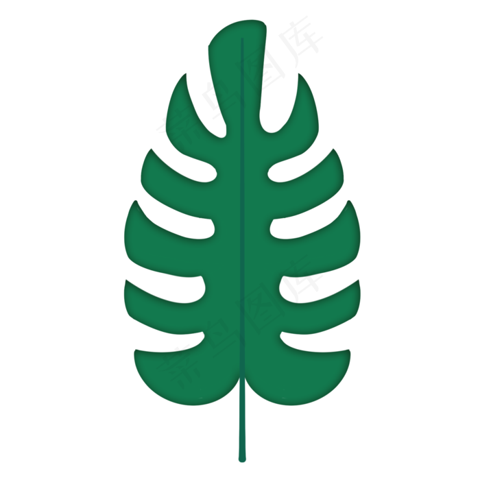 热带植物常绿龟背竹叶子