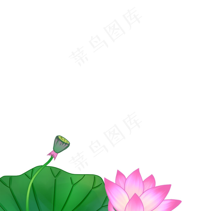 绿色的莲子免抠图(2000X2000(DPI:300))psd模版下载