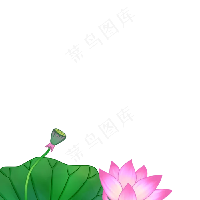 绿色的莲子免抠图(2000X2000(DPI:300))psd模版下载