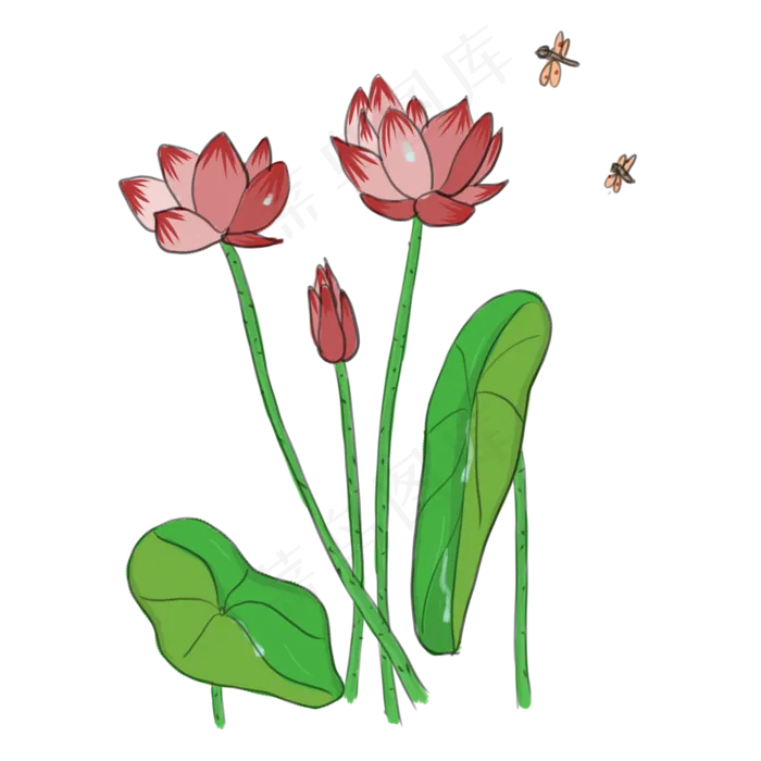 手绘中国风荷花PNG素材(2000X2000(DPI:300))psd模版下载
