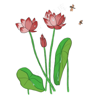 手绘中国风荷花PNG素材
