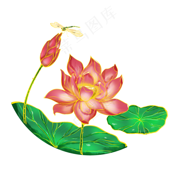 国潮荷花蜻蜓(2000X2000(DPI:299))psd模版下载