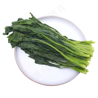 绿色菜心,免抠元素