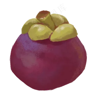 手绘新鲜水果山竹