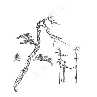 水墨松树植物中国画