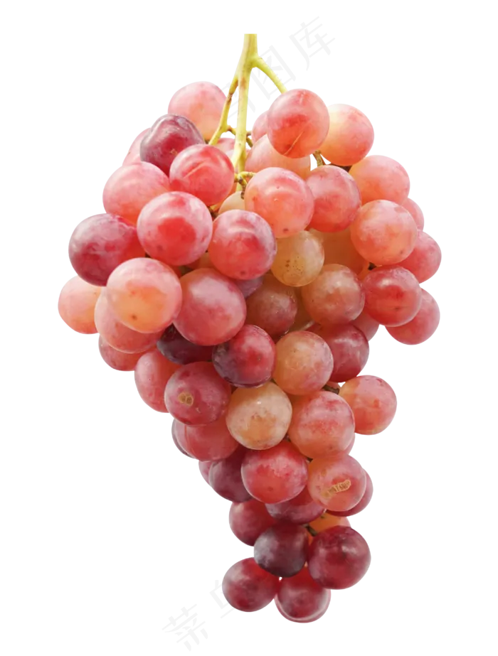红色水果葡萄,免抠元素(3000*3957px 300 dpi )