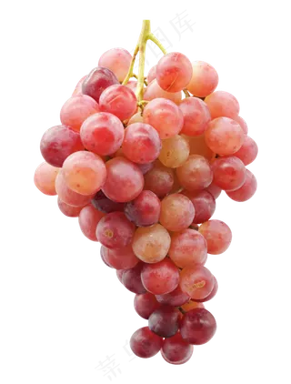 红色水果葡萄,免抠元素