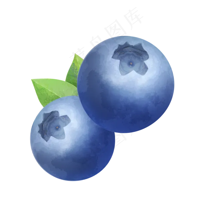 写实手绘蓝莓png(2000X2000(DPI:300))psd模版下载