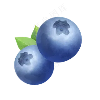 写实手绘蓝莓png 写实手绘蓝莓png