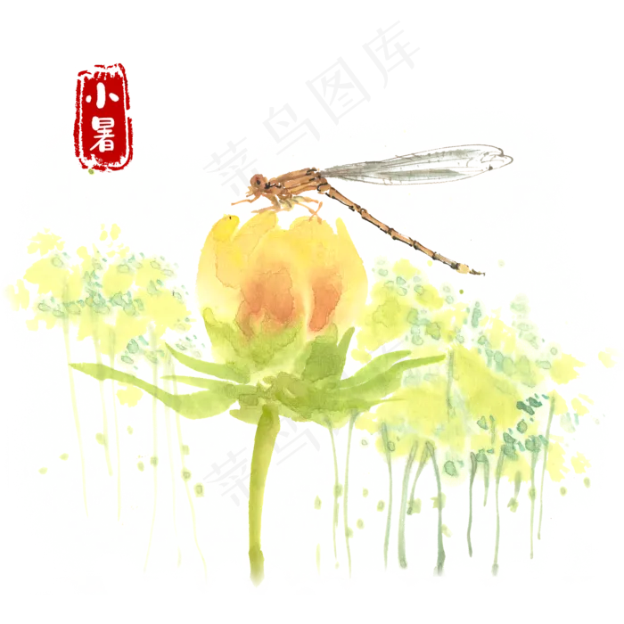 小暑花朵上的豆娘水墨画(4724X4724(DPI:300))psd模版下载