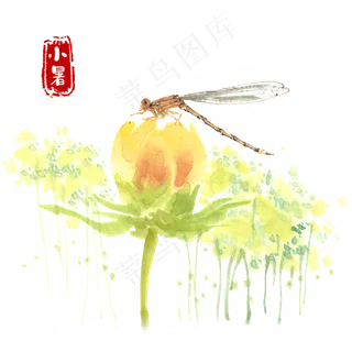 小暑花朵上的豆娘水墨画 小暑花朵上的豆娘水墨画