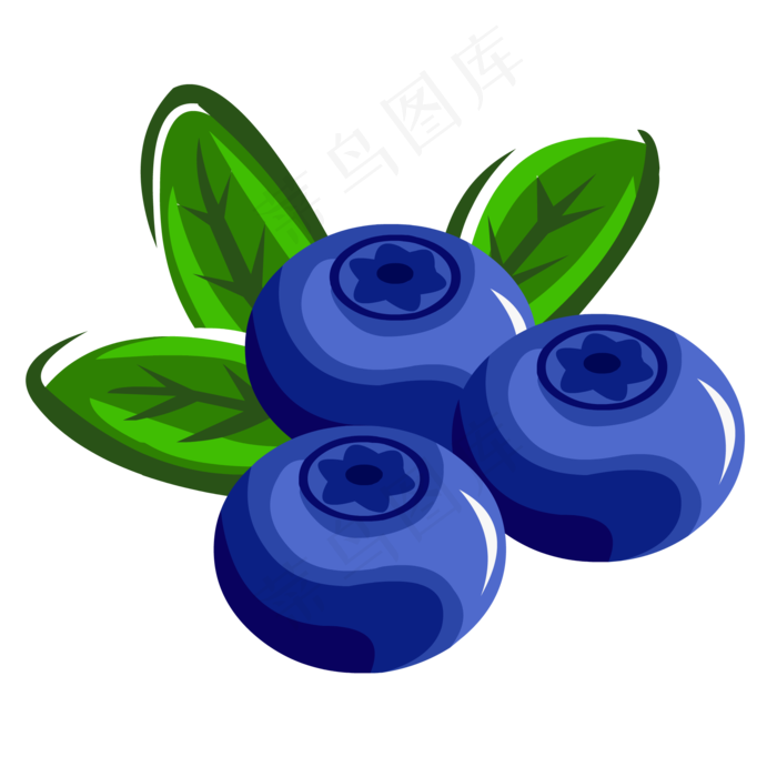 新鲜的水果蓝莓(2000*2000px 300 dpi )ai矢量模版下载