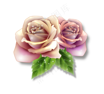 红色粉色的装饰玫瑰