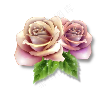 红色粉色的装饰玫瑰