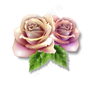 红色粉色的装饰玫瑰