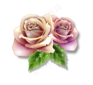 红色粉色的装饰玫瑰