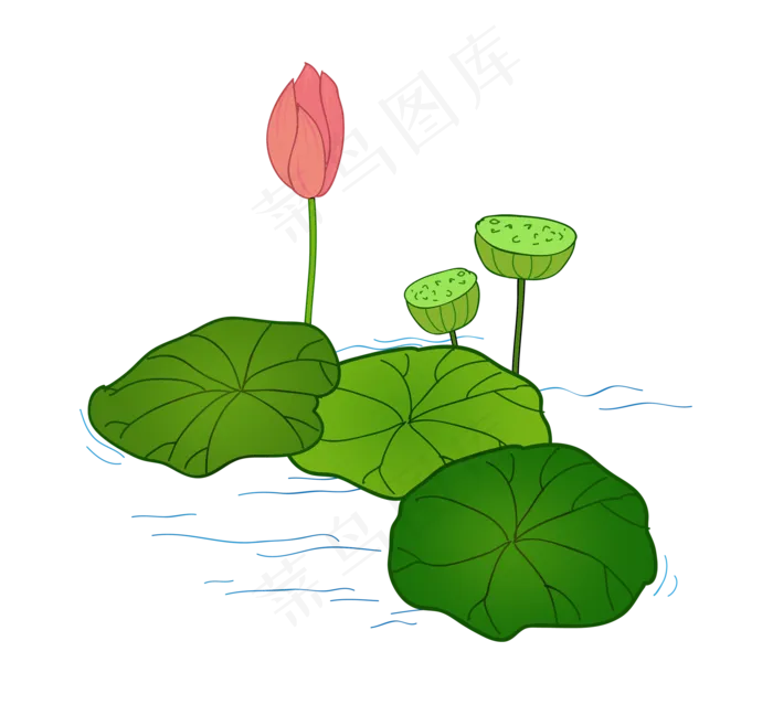 植物荷花花朵(2191X2000(DPI:300))psd模版下载