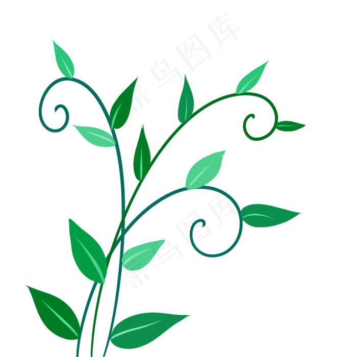 蔓藤绿色植物叶子嫩