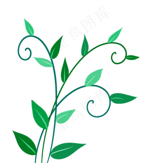 蔓藤绿色植物叶子嫩