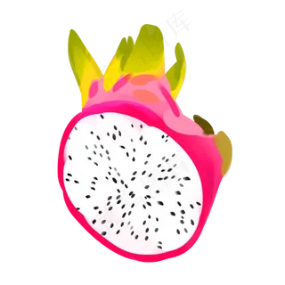 卡通切开的火龙果