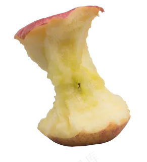 垃圾苹果水果把