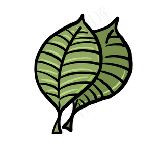 两片叶子插图装饰免抠