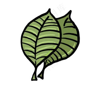 两片叶子插图装饰免抠