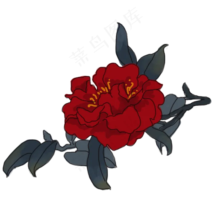 中国风手绘茶花卉插图(3000X3000(DPI:300))psd模版下载
