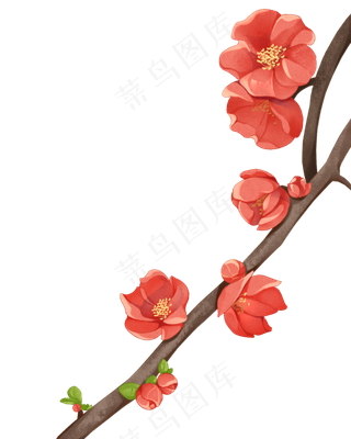 红色手绘唯美海棠花素材,免抠元素
