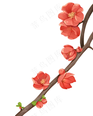 红色手绘唯美海棠花素材,免抠元素