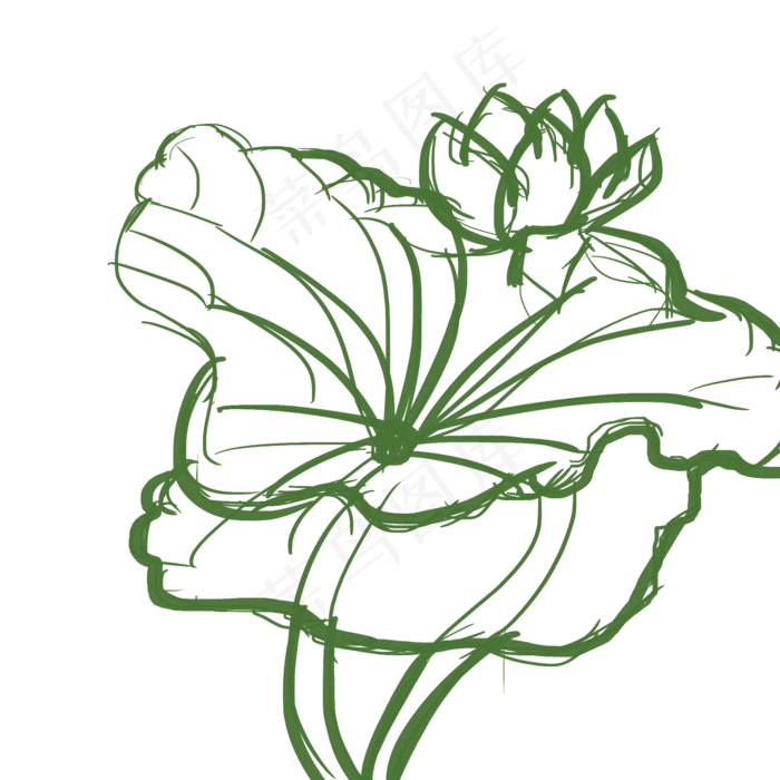 荷花儿线稿png图