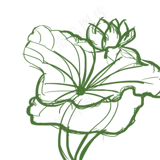 荷花儿线稿png图