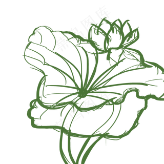 荷花儿线稿png图