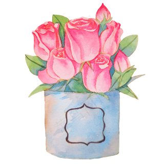 粉色玫瑰蔷薇植物