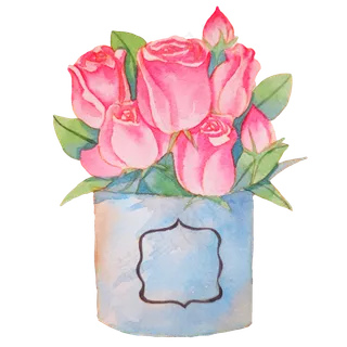 粉色玫瑰蔷薇植物