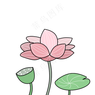 可爱简约风格荷花荷叶
