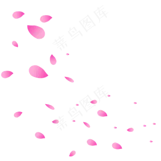 飞舞玫粉玫瑰花瓣