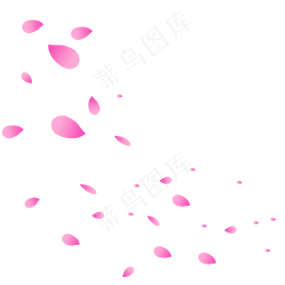飞舞玫粉玫瑰花瓣