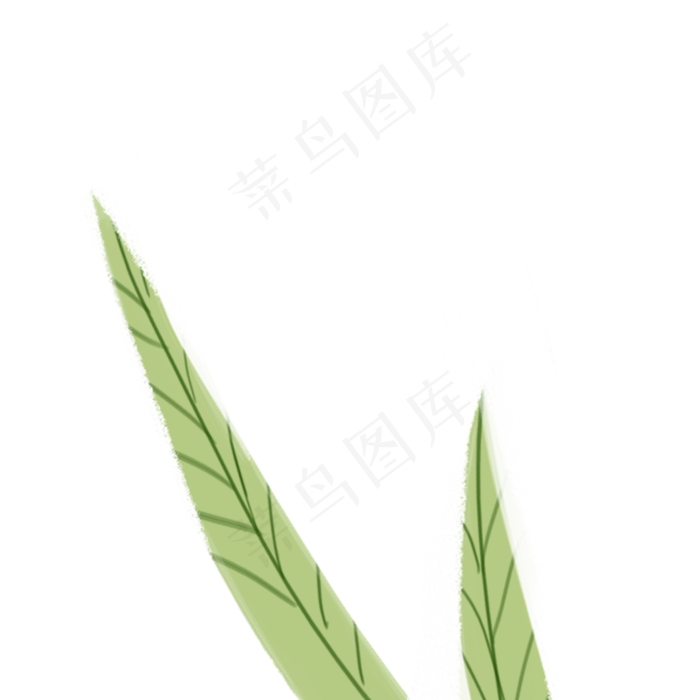春天绿叶植物叶子