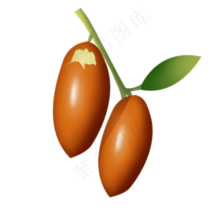 两颗褐色精致大枣psd透明底
