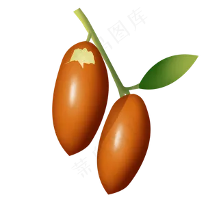 两颗褐色精致大枣psd透明底