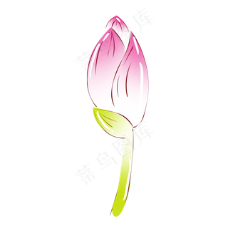 手绘花小清新植物粉色荷花花苞