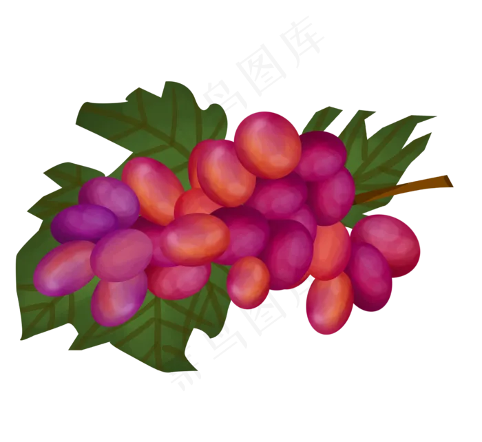 手绘植物红色水果(2485X2280(DPI:300))psd模版下载