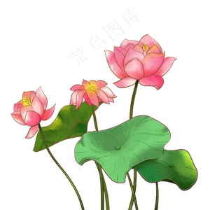淡彩夏日荷花插图素材下载