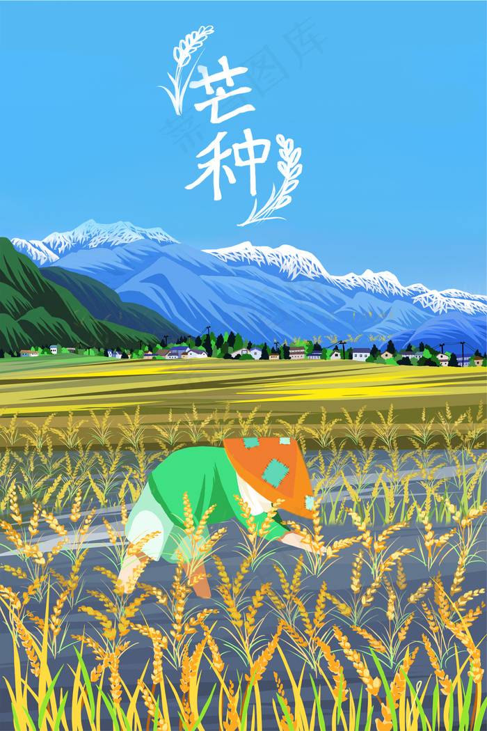 芒种稻谷田小清新风格