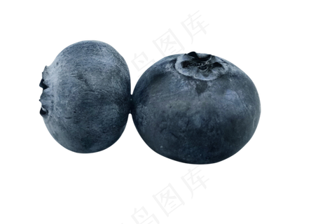 水果蓝莓食物