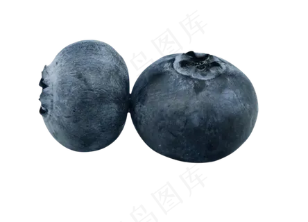 水果蓝莓食物