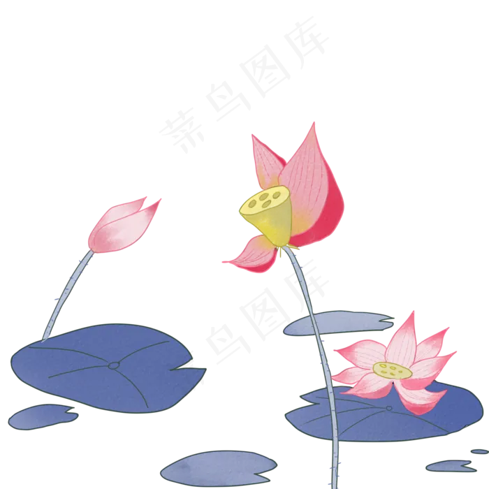 夏季节气荷花荷叶(2000X2000(DPI:300))psd模版下载